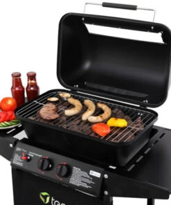 Besorgen 🥰 TEPRO Lavasteingasgrill Irvine, 2-Brenner 🔔 27 Besorgen 🥰 TEPRO Lavasteingasgrill Irvine, 2-Brenner 🔔 -Tepro Verkaufsladen unnamed file 379