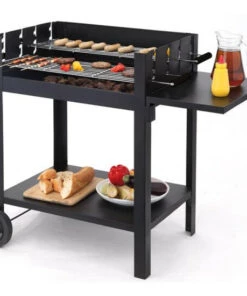 Blitzangebot 🎉 Tepro Grill Garten Holzkohlegrill Grillkohle Grillparty Lambada-1121 🎉 -Tepro Verkaufsladen unnamed file 703