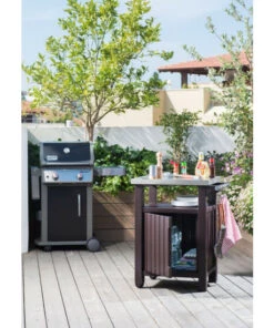 Auslauf 😍 Tepro - Grill Beistelltisch; 6130 🎁 19 Auslauf 😍 Tepro - Grill Beistelltisch; 6130 🎁 -Tepro Verkaufsladen unnamed file 725